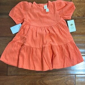 Tucker + Tate 2 Piece Set Orange Amber Size 18 Months